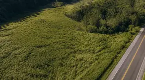 Imagem 2 - Terreno em Fazenda Marajoara, Campo Limpo Paulista - SP
