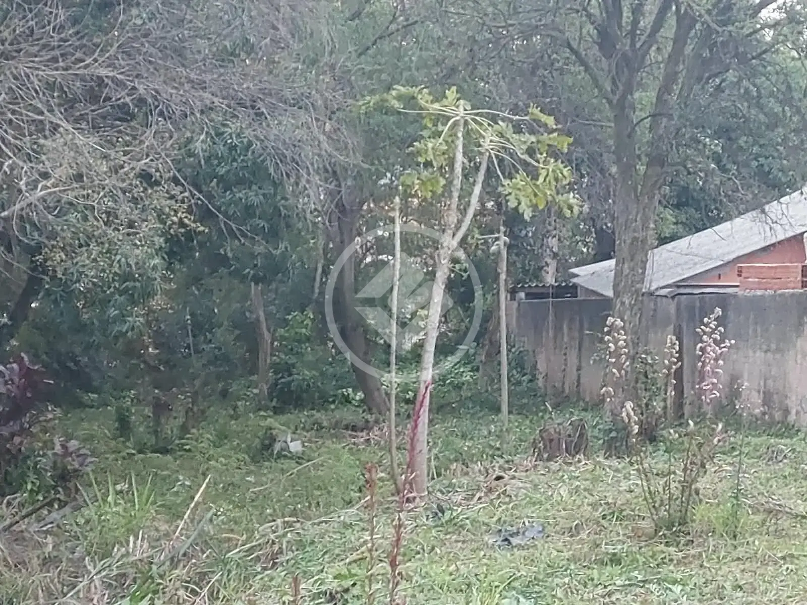 Image 2 - Terreno em Jardim Pacaembu, Jundiaí - SP