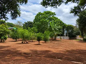 Imagem 4 - Terreno em Estância São Jorge, Jarinu - SP
