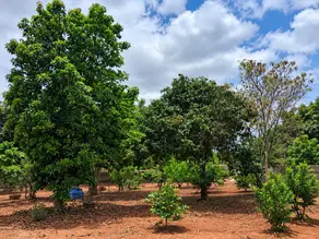 Imagem 5 - Terreno em Estância São Jorge, Jarinu - SP