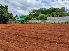 Imagem 6 - Terreno em Estância São Jorge, Jarinu - SP