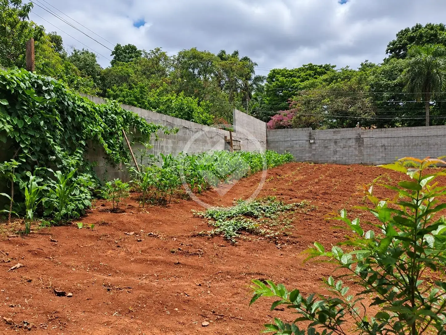 Image 8 - Terreno em Estância São Jorge, Jarinu - SP