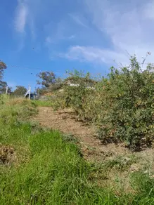 Imagem 4 - Terreno em Cidade Nova, Jundiaí - SP