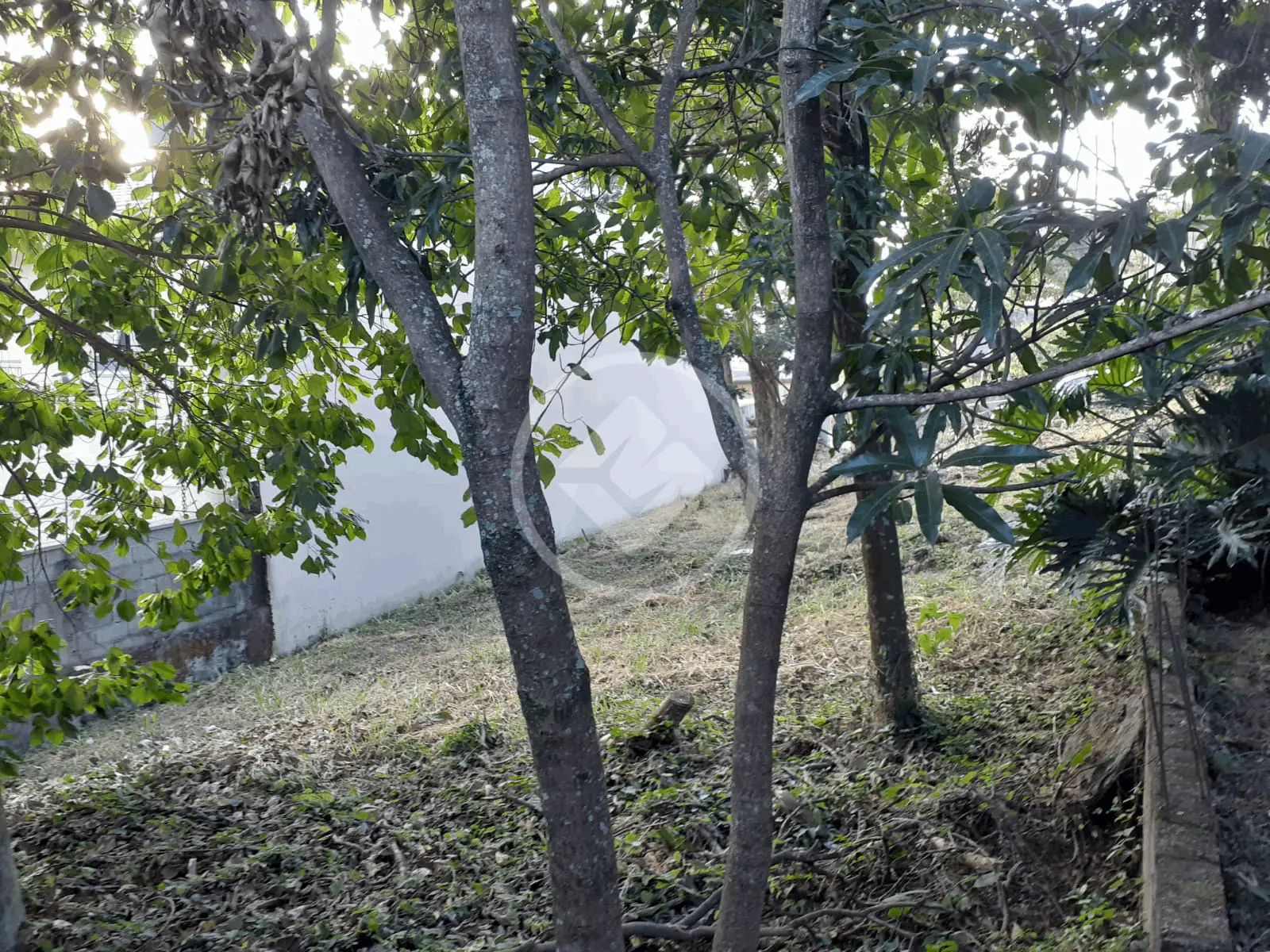 Imagem 2 - Terreno em Parque Quinta da Boa Vista, Jundiaí - SP
