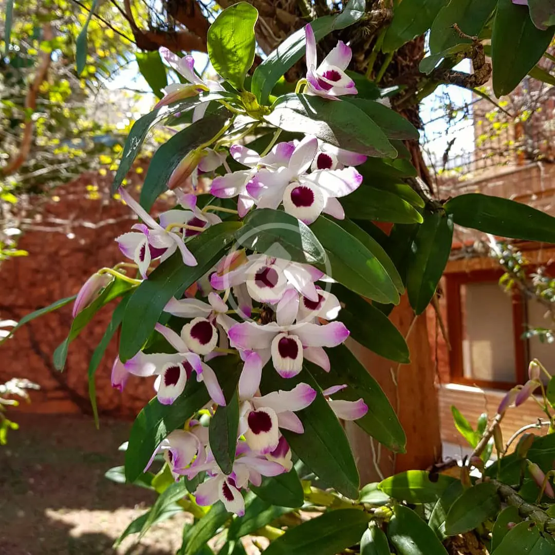 Casa Condomínio Jardim Tereza Cristina, Jundiaí - SP — foto 2