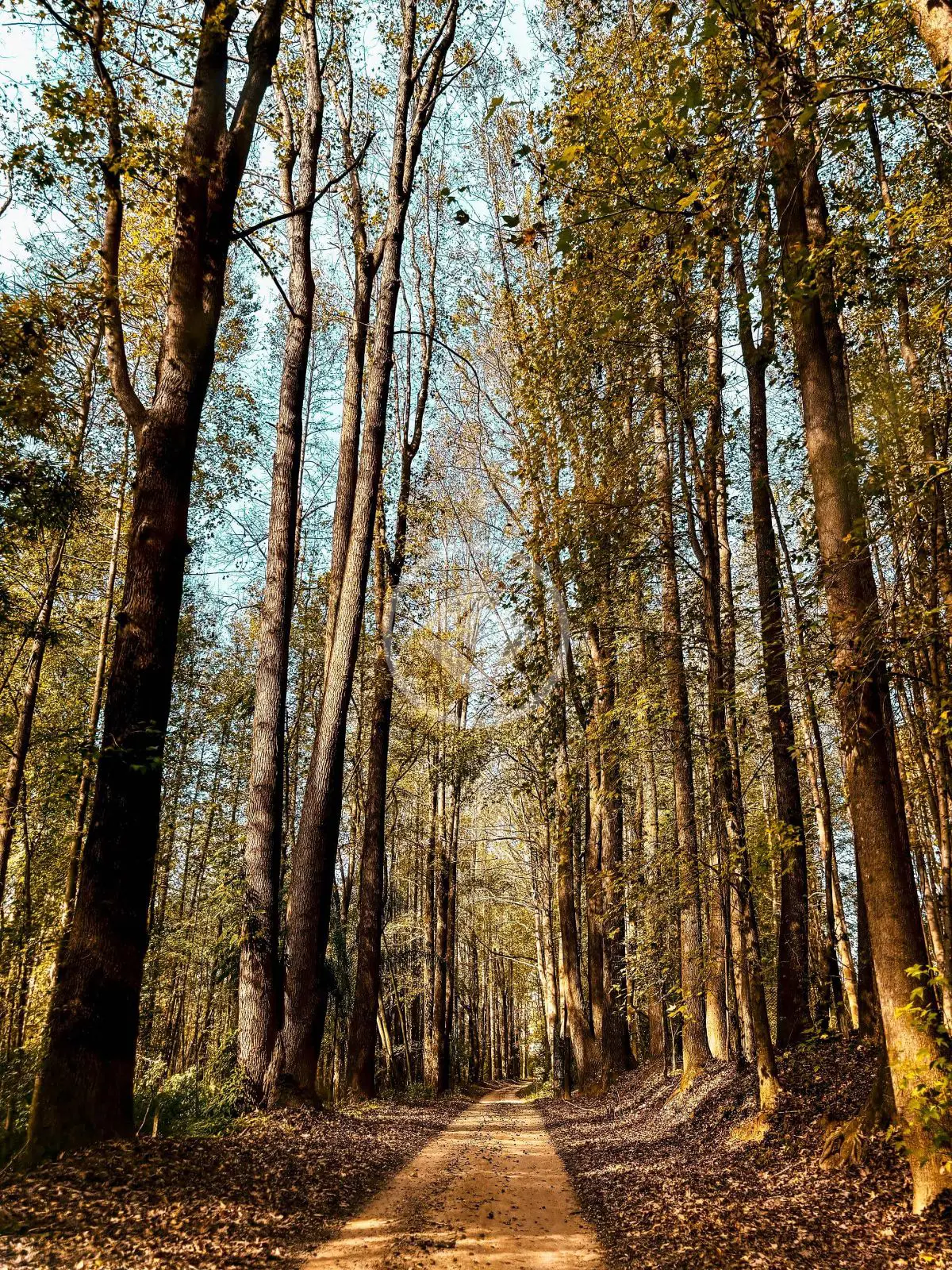 Imagem 4 - Terreno Condomínio em CAXAMBU, Jundiaí - SP
