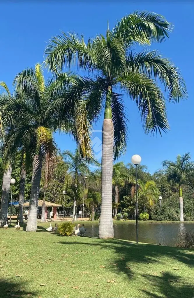 Image 35 - Casa Condomínio em Jardim Tereza Cristina, Jundiaí - SP