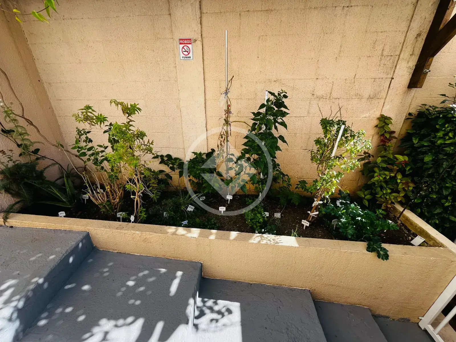 Imagem 5 - Apartamento em Jardim Bonfiglioli, Jundiaí - SP