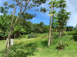 Imagem 4 - Terreno Condomínio em Condomínio Reserva Santa Mônica, Itupeva - SP