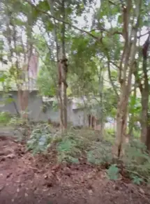 Imagem 3 - Chácara em Jardim Maria, Campo Limpo Paulista - SP