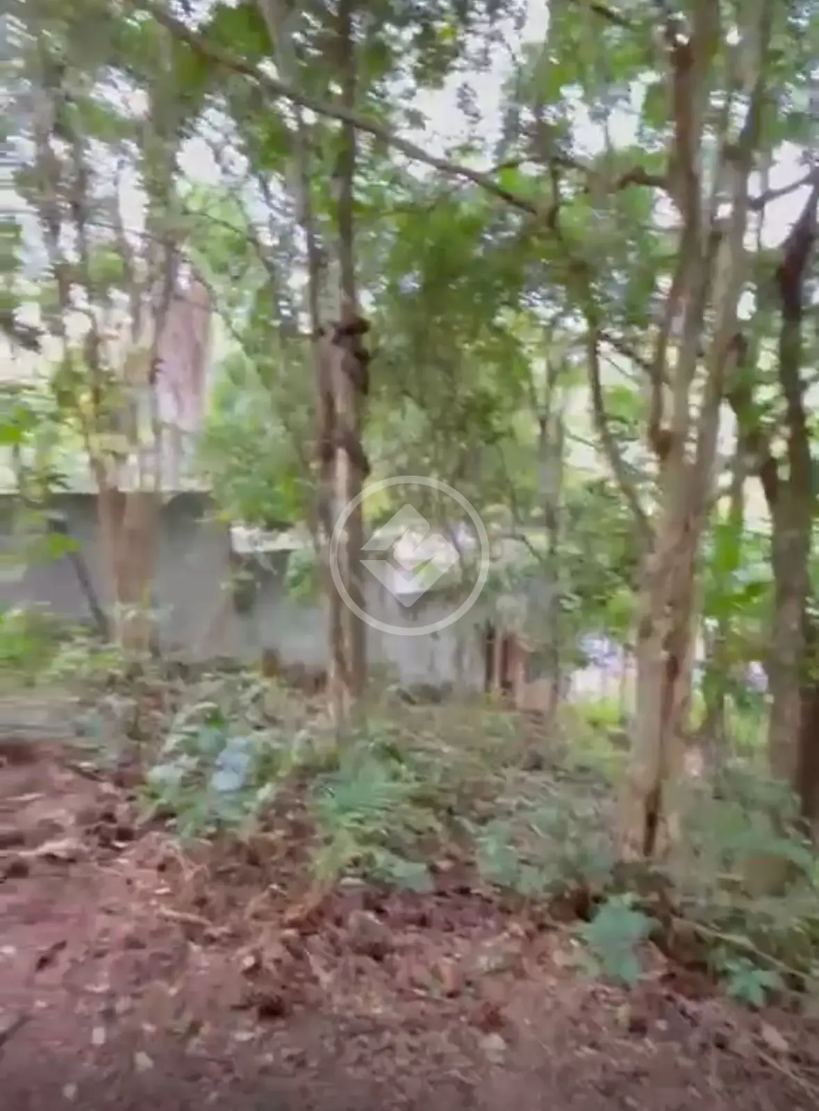 Imagem 3 - Chácara em Jardim Maria, Campo Limpo Paulista - SP