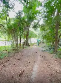 Imagem 2 - Chácara em Jardim Maria, Campo Limpo Paulista - SP