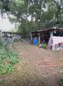 Imagem 4 - Chácara em Jardim Maria, Campo Limpo Paulista - SP