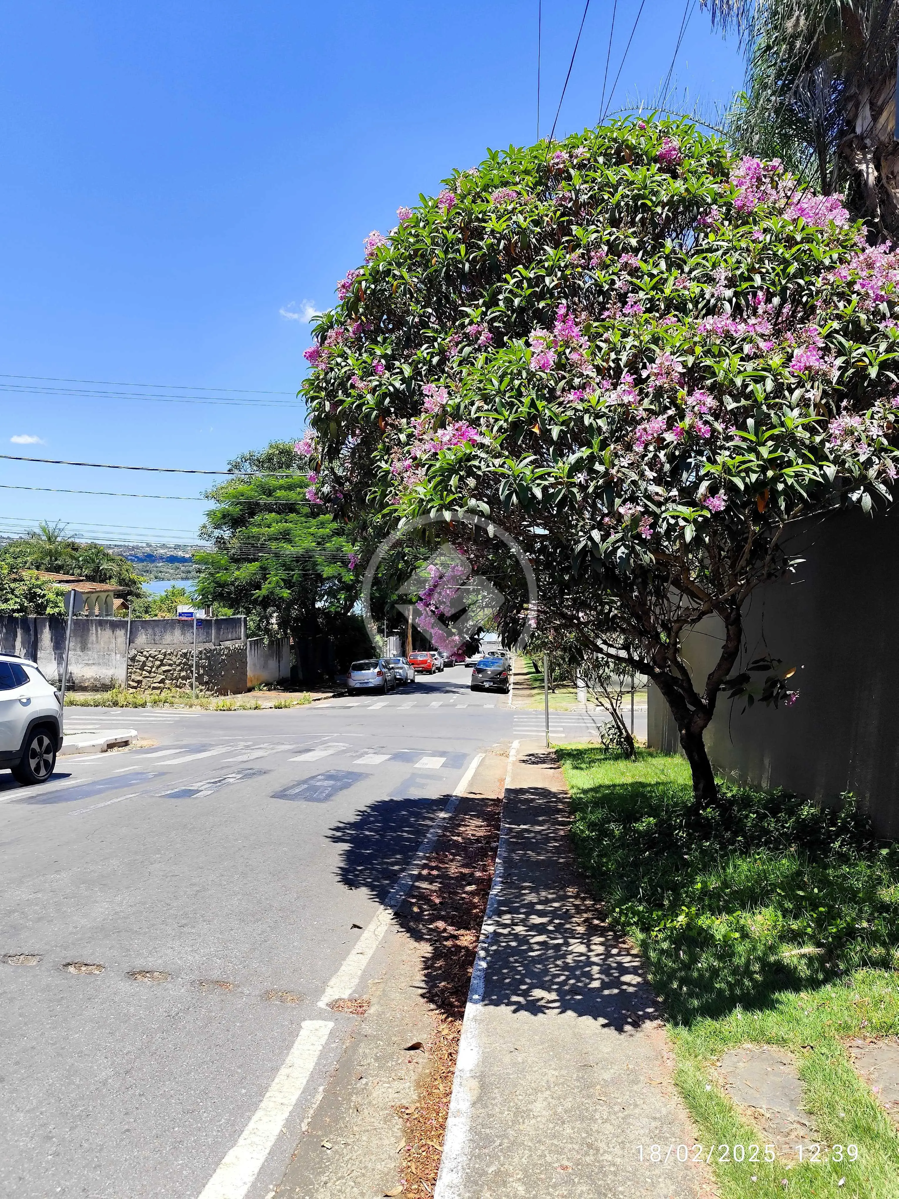 Imagem 4 - Terreno em Centro, Lagoa Santa - MG