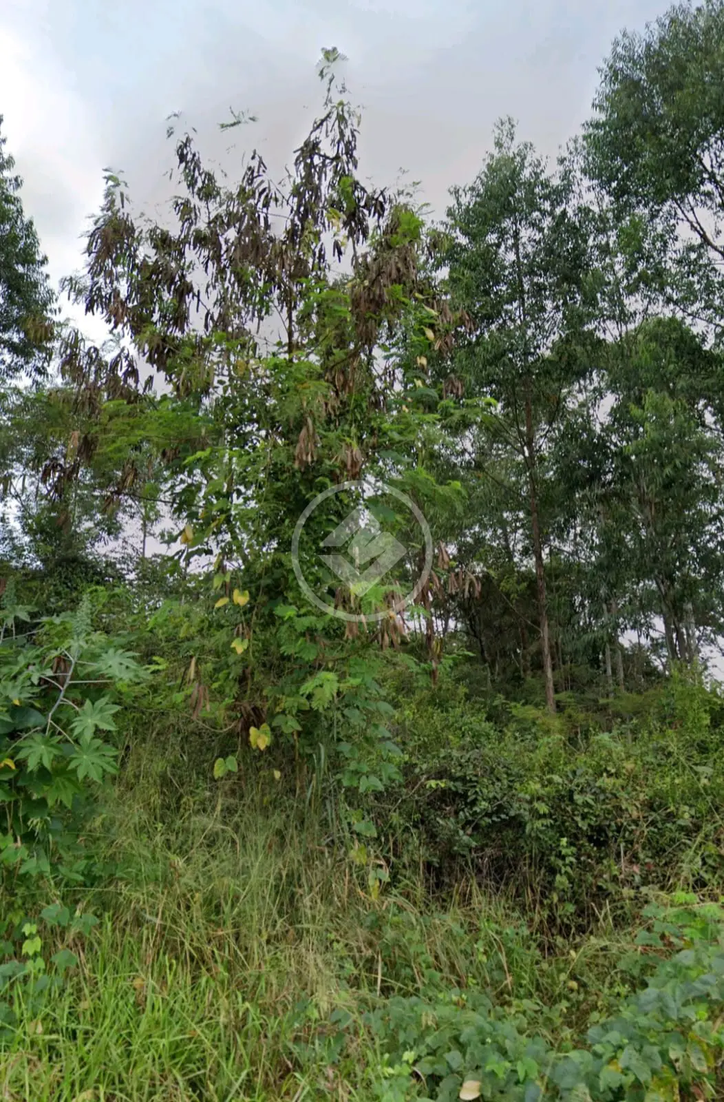 Imagem 2 - Terreno em Shalimar, Lagoa Santa - MG