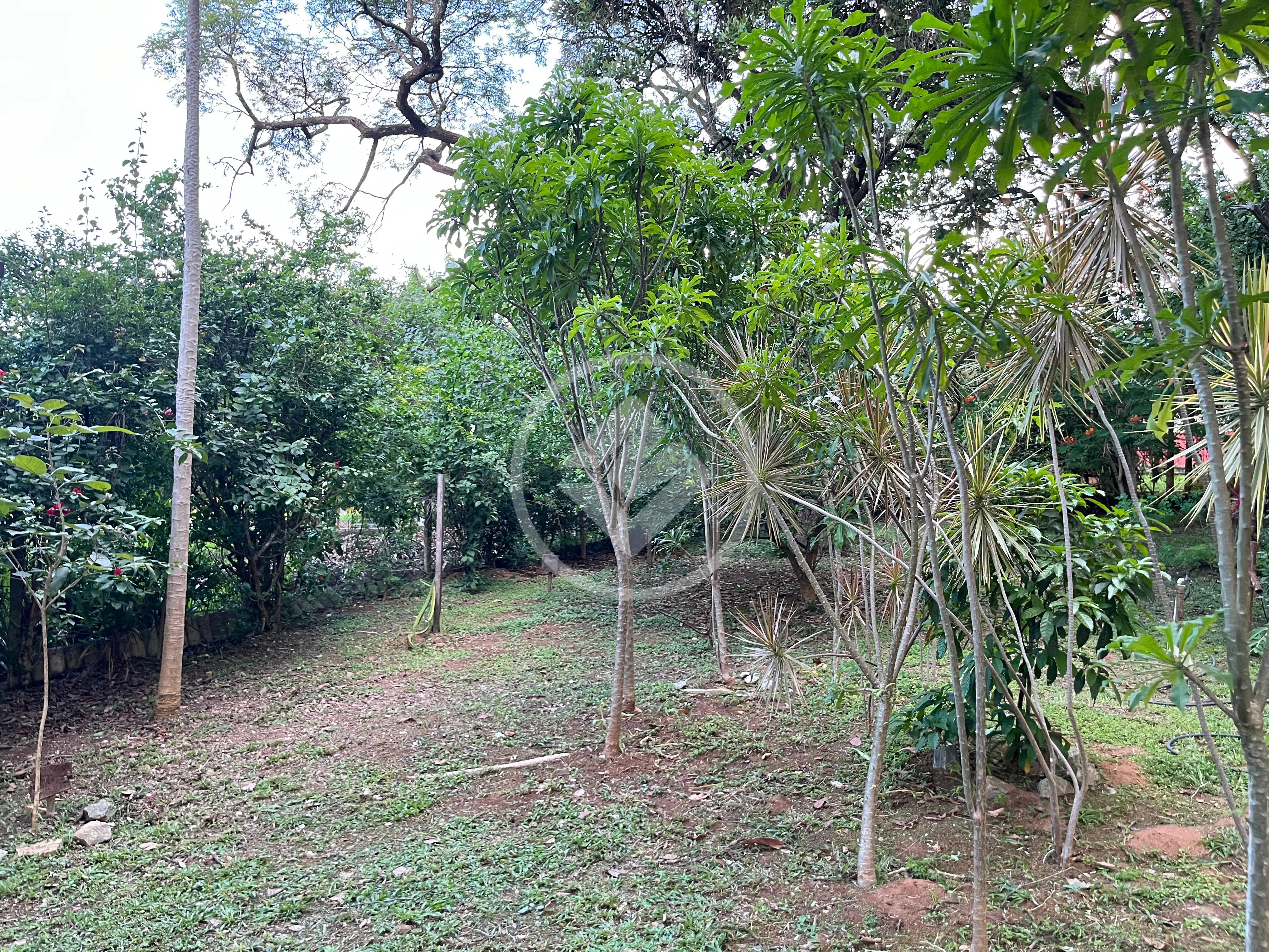 Imagem 3 - Terreno Condomínio em Condados da Lagoa, Lagoa Santa - MG