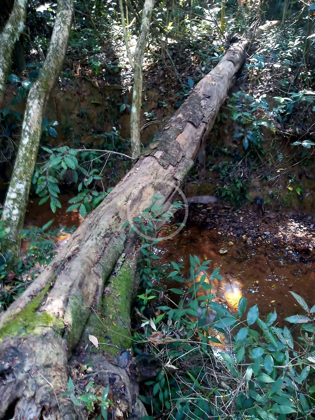 Imagem 5 - Chácara em Jaboticatubas, Lagoa Santa - MG