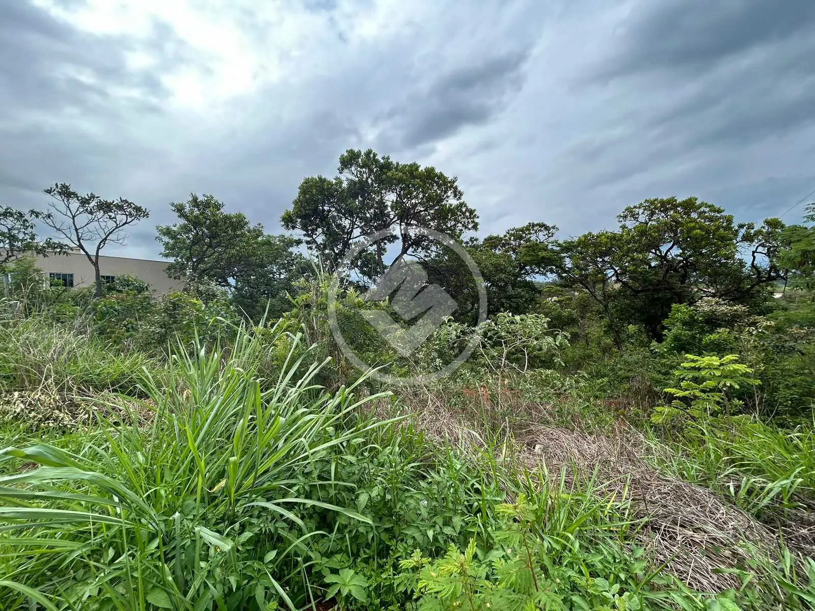Imagem 6 - Terreno em Lagoa Mansões, Lagoa Santa - MG