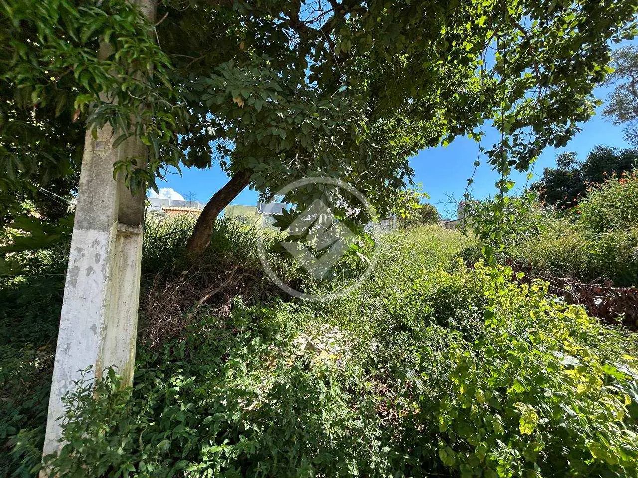 Imagem 1 - Terreno em Residencial Visão, Lagoa Santa - MG