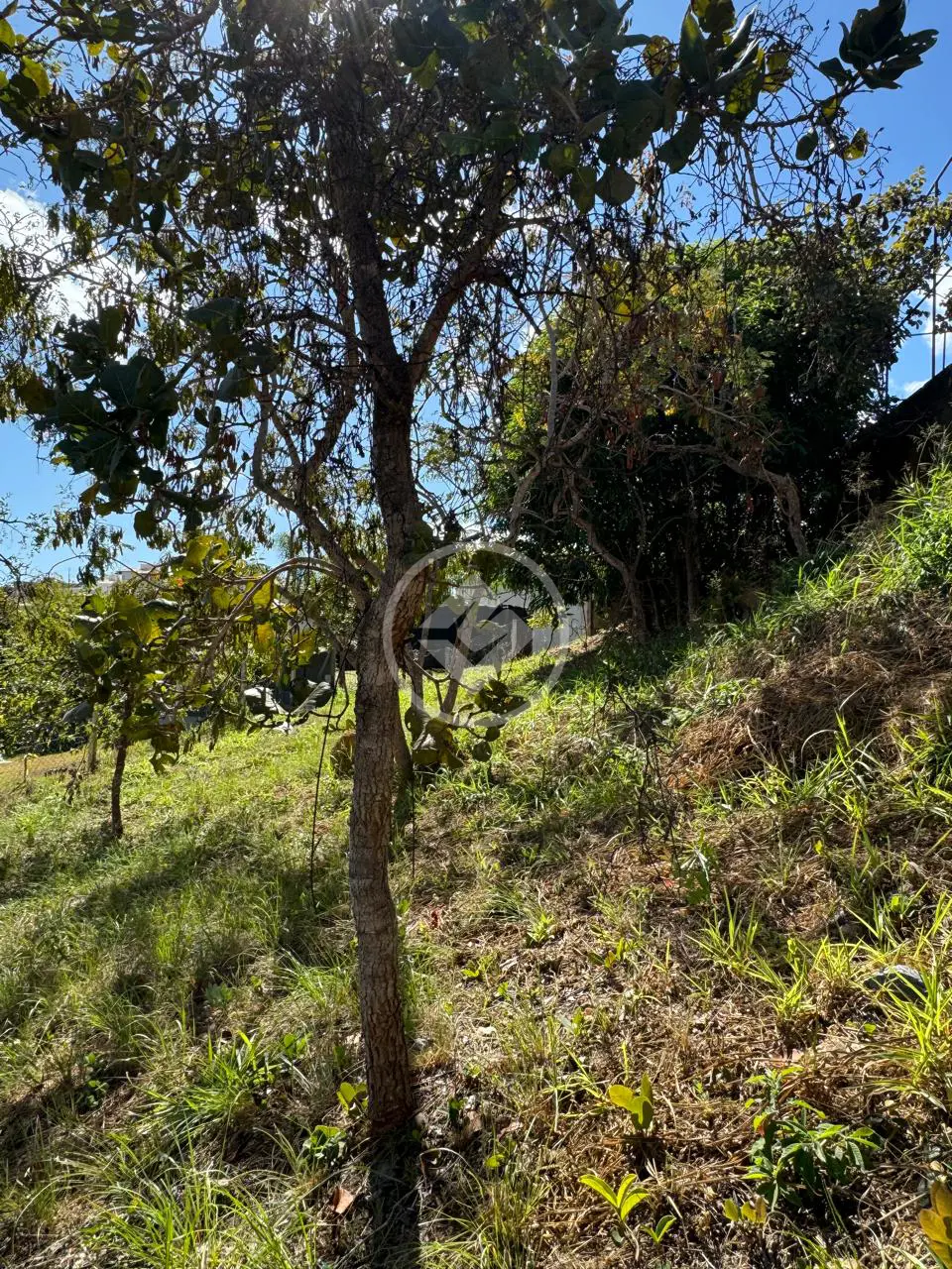 Terreno Condomínio Jardins da Lagoa II, Lagoa Santa - MG — foto 2