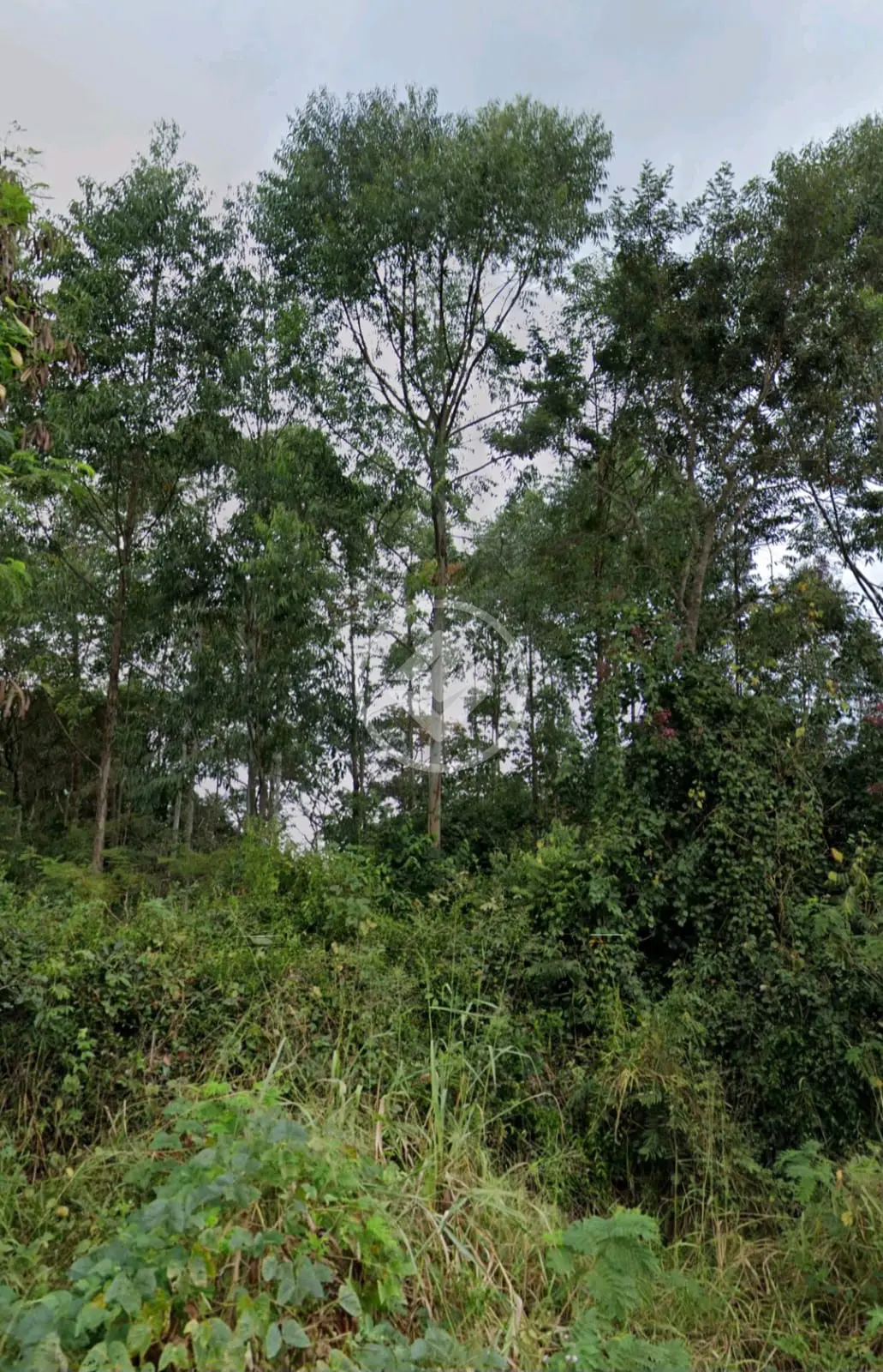 Imagem 1 - Terreno em Shalimar, Lagoa Santa - MG