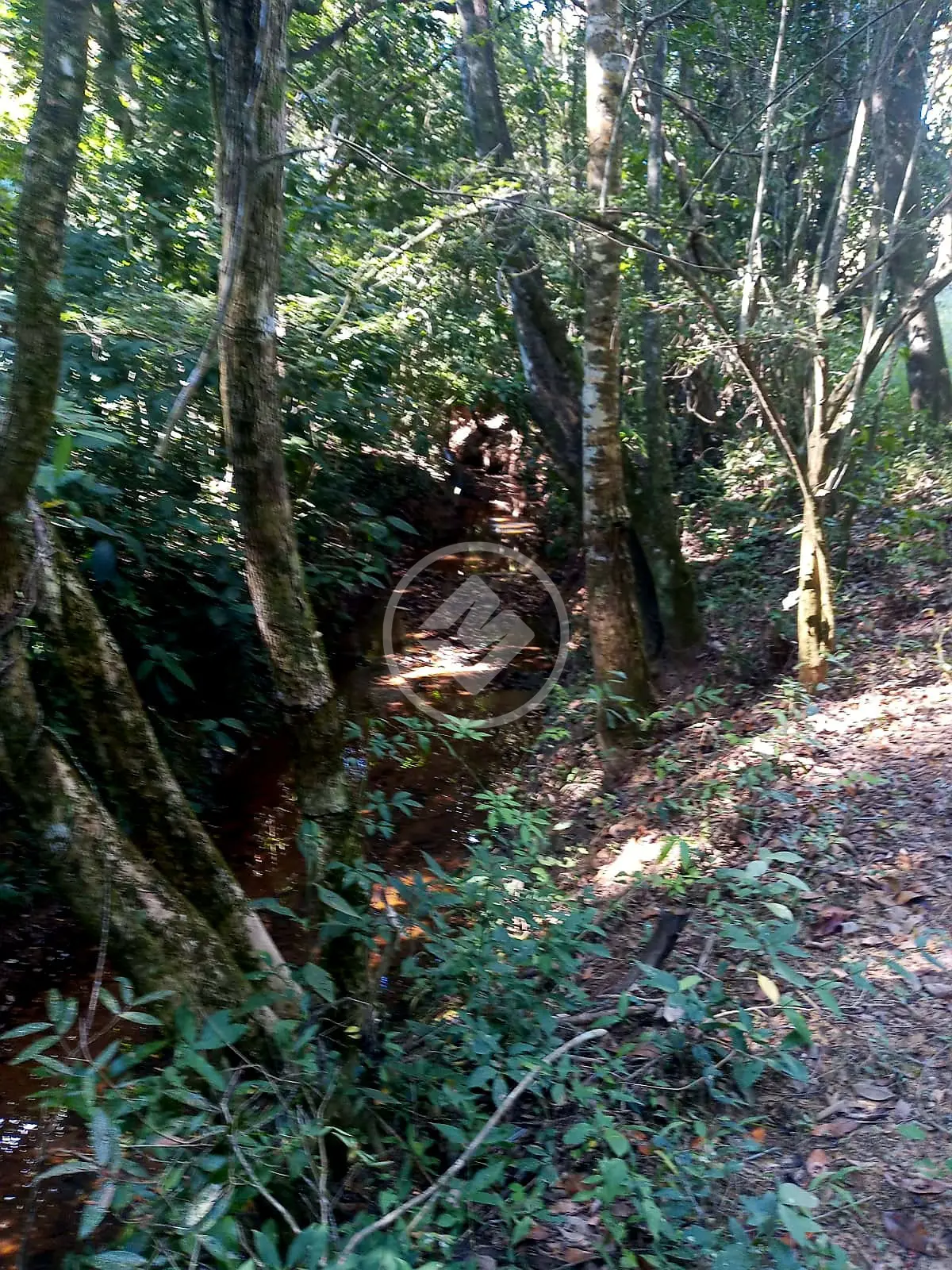 Imagem 6 - Chácara em Jaboticatubas, Lagoa Santa - MG