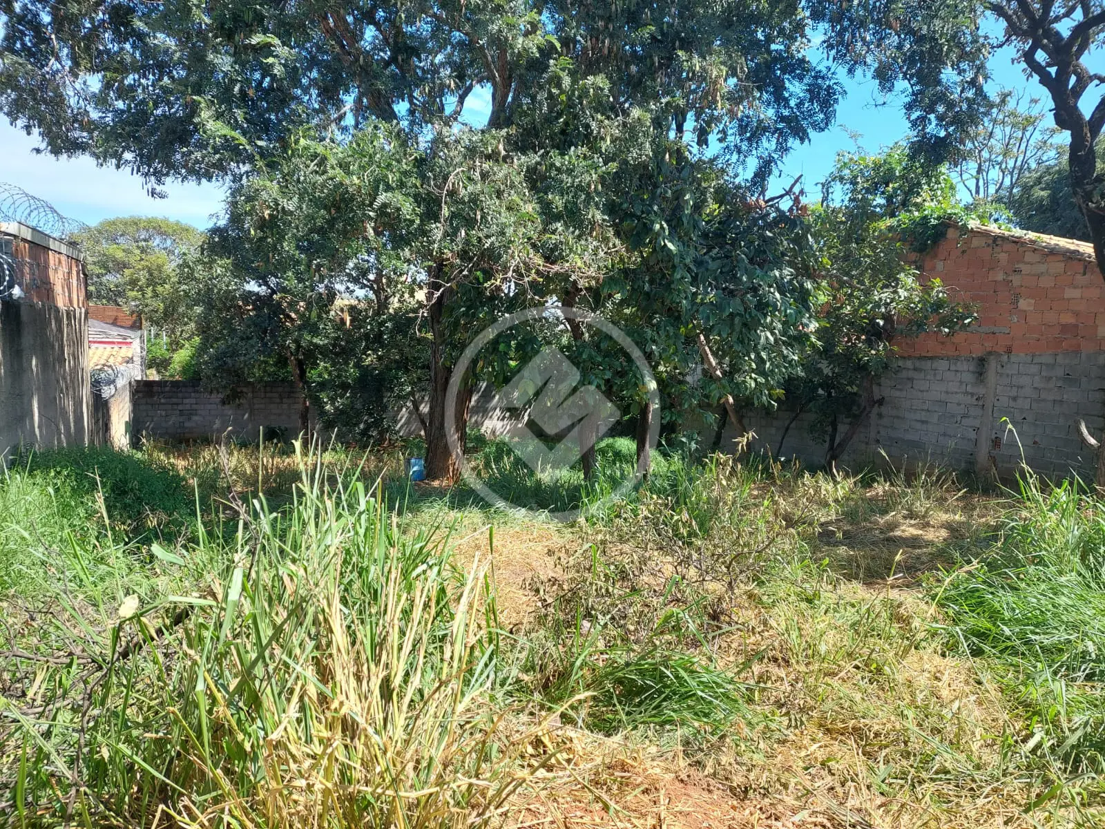 Imagem 3 - Terreno em Lundcea, Lagoa Santa - MG