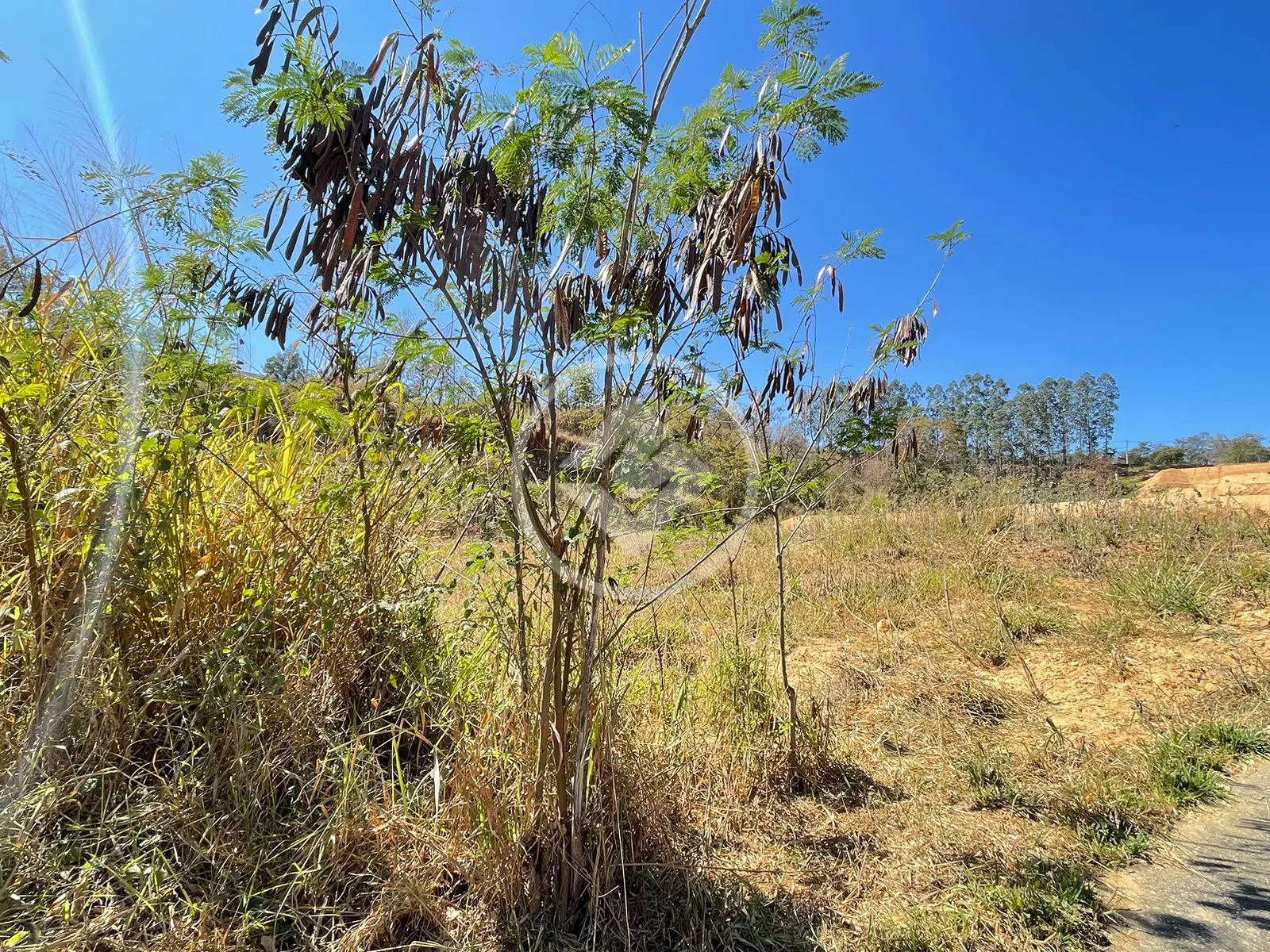 Imagem 4 - Terreno Comercial em Comercial Goiabeiras, Lagoa Santa - MG