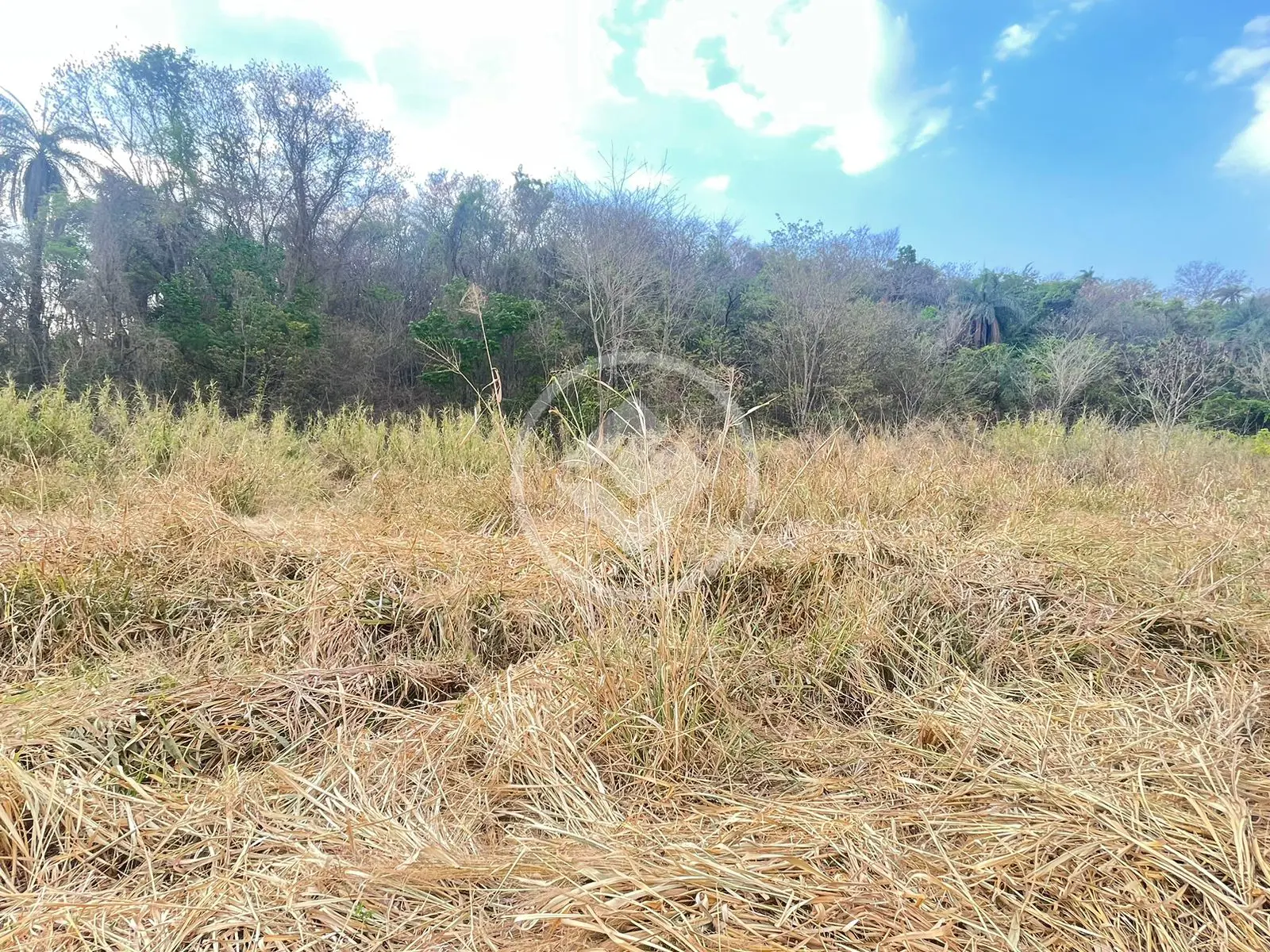 Imagem 6 - Terreno Condomínio em Comercial Goiabeiras, Lagoa Santa - MG