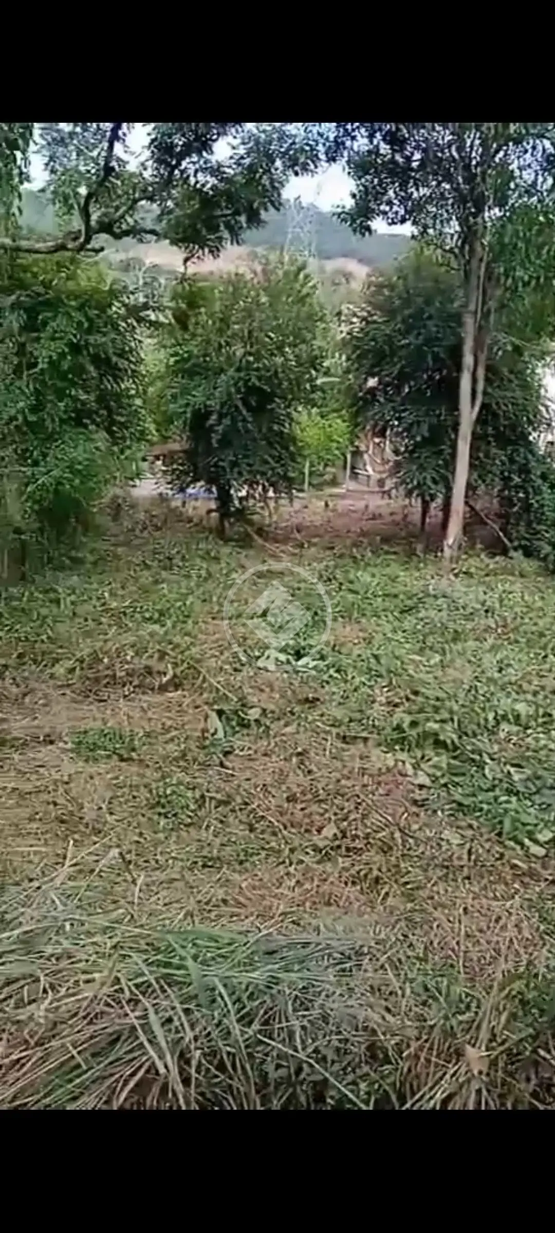 Imagem 5 - Terreno Condomínio em Angicos, Vespasiano - MG