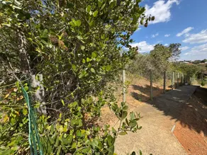 Terreno Condomínio Jardim Imperial, Jaboticatubas - MG — foto 2