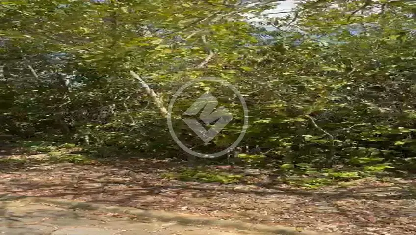Image 11 - Terreno Condomínio em Jardim Imperial, Jaboticatubas - MG
