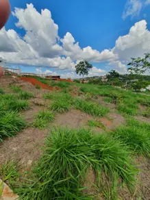 Imagem 2 - Terreno Condomínio em Novo Campinho, Pedro Leopoldo - MG