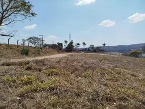 Imagem 2 - Galpão em Nova Granja, Vespasiano - MG