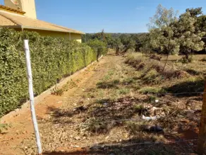 Imagem 4 - Terreno Condomínio em Moradas do Lago, Jaboticatubas - MG