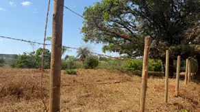 Imagem 5 - Chácara em Área Rural de Lagoa Santa, Lagoa Santa - MG