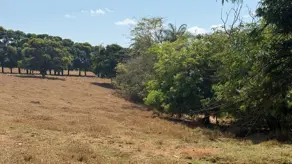 Imagem 2 - Chácara em Área Rural de Lagoa Santa, Lagoa Santa - MG