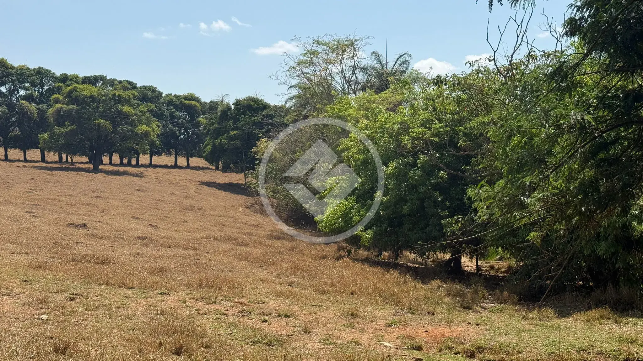 Imagem 2 - Chácara em Área Rural de Lagoa Santa, Lagoa Santa - MG