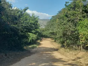 Imagem 5 - Chácara em Almeida, Jaboticatubas - MG