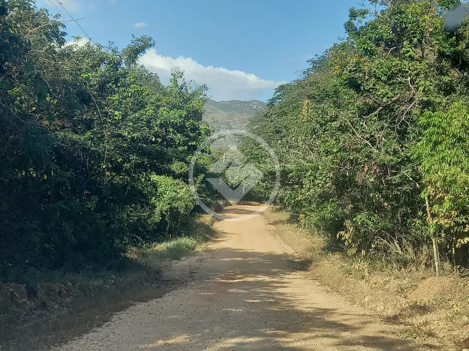 Imagem 5 - Chácara em Almeida, Jaboticatubas - MG