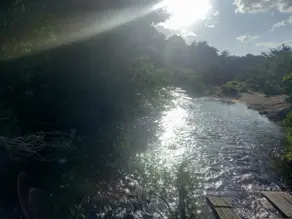 Imagem 4 - Chácara em Almeida, Jaboticatubas - MG