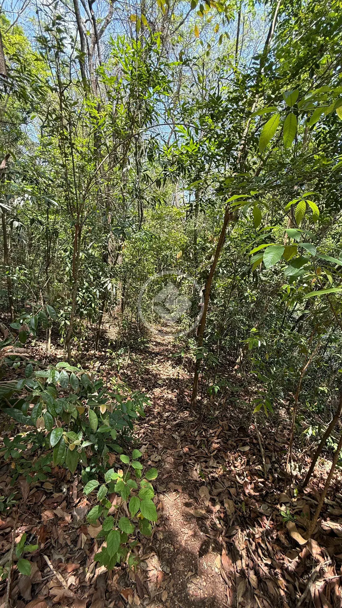 Imagem 3 - Terreno Condomínio em Condados da Lagoa, Lagoa Santa - MG