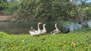 Terreno Condomínio Condados da Lagoa, Lagoa Santa - MG — foto 1