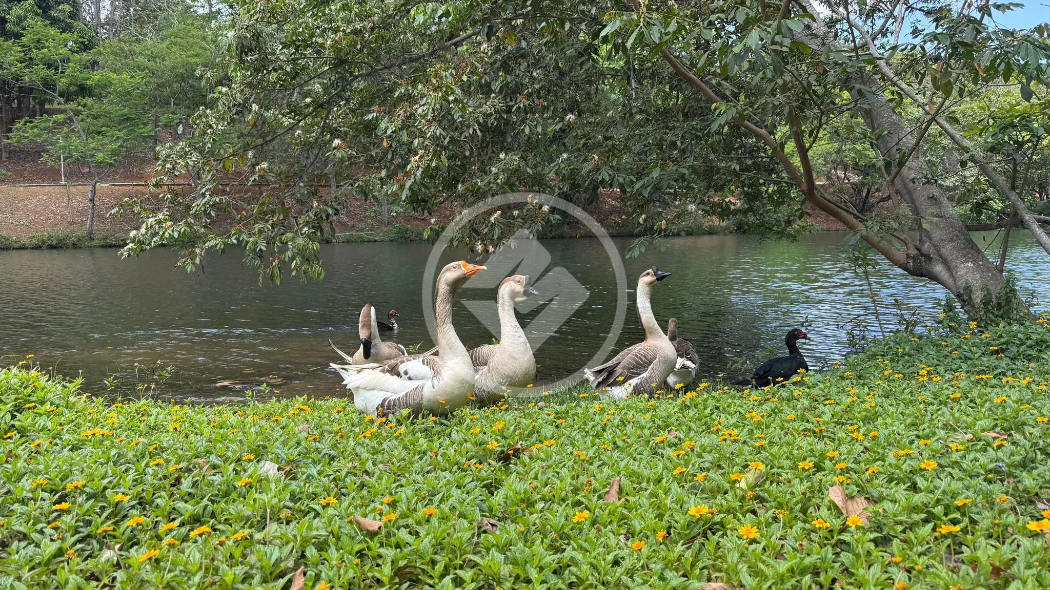 Imagem 1 - Terreno Condomínio em Condados da Lagoa, Lagoa Santa - MG