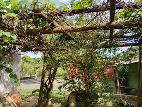 Imagem 3 - Sítio em Jacques Ville, Lagoa Santa - MG