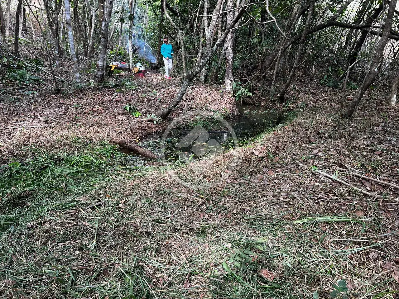 Imagem 1 - Chácara em Amanda, Baldim - MG