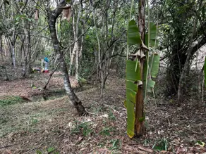 Chácara Amanda, Baldim - MG — foto 2