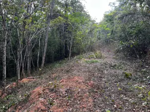 Imagem 2 - Chácara em Amanda, Baldim - MG