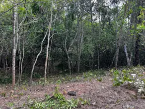 Imagem 3 - Chácara em Amanda, Baldim - MG
