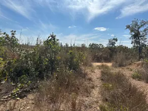 Imagem 4 - Chácara em Amanda, Baldim - MG